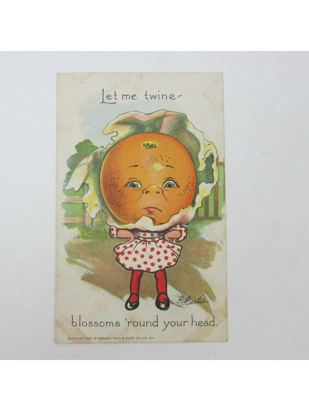 Fantasy Postcard Tuck Orange Head Anthropomorphic Garden Patch E. Curtis Antique